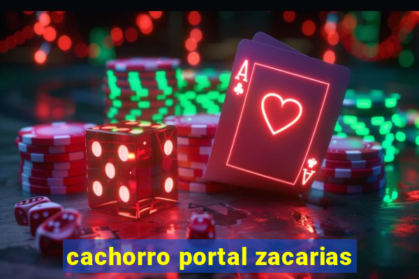 cachorro portal zacarias